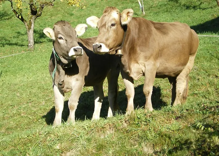 Neurauthof 4* Zellberg