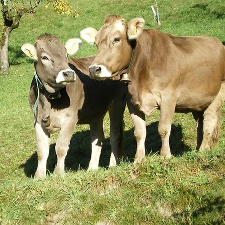 Neurauthof 4* Zellberg